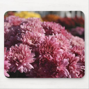 Pink Mums Photograph Beautiful Mouse Pad