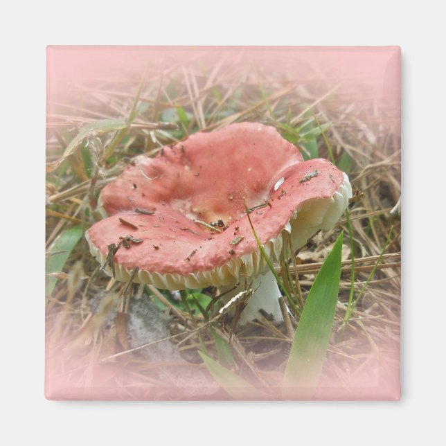 Pink Mushroom Coordinated Items Magnet (Front)