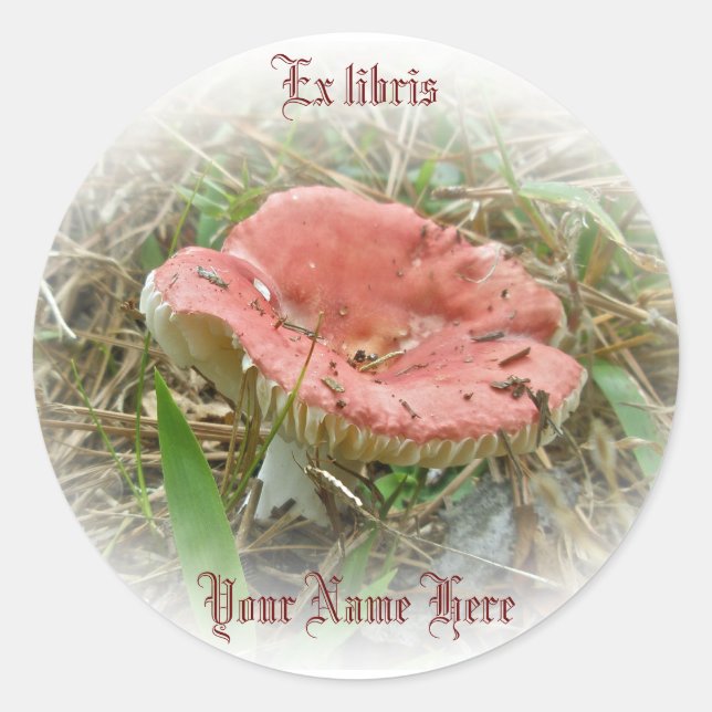 Pink Mushroom Ex libris Sticker (Front)