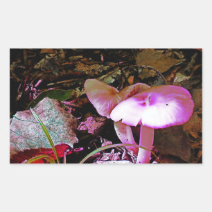 Pink Mushroom Rectangular Sticker