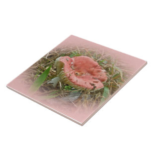Pink Mushroom - Right Facing Ceramic Tile