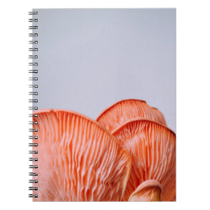 PINK MUSHROOMS NOTEBOOK