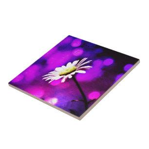 Pink N Amethyst Daisy Ceramic Tile