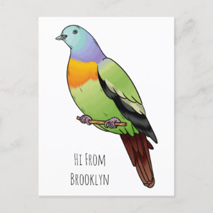 Pink-necked green pigeon bird cartoon illustration postcard