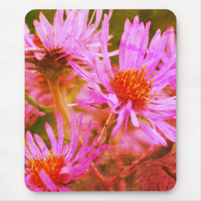 Pink New England Asters Flower Art Mouse Pad (Front)
