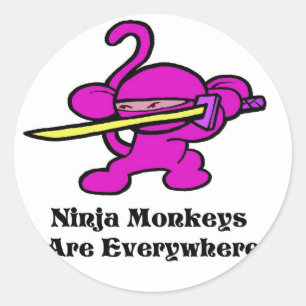 Pink Ninja On Guard Classic Round Sticker