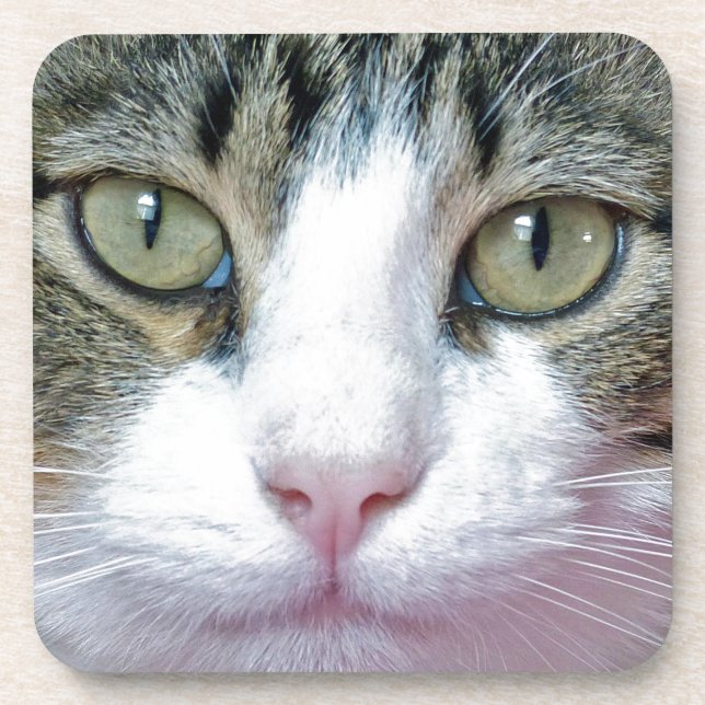 Pink Nose Coaster (Front)