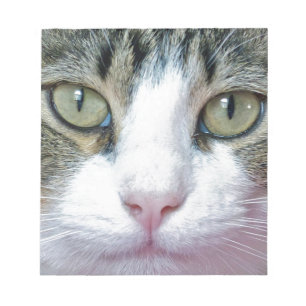 Pink Nose Notepad