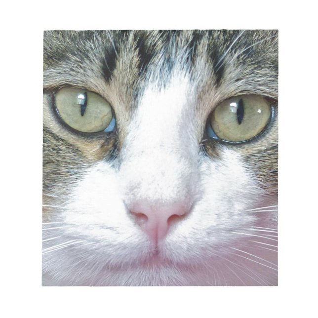 Pink Nose Notepad (Front)