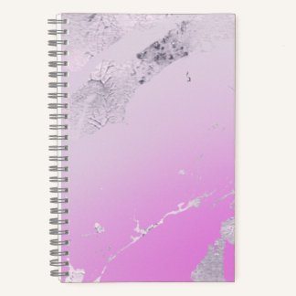 Pink Notebook with Metallic Accents