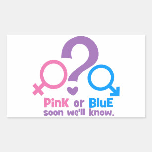 Pink or Blue, Soon We'll Know Rectangular Sticker