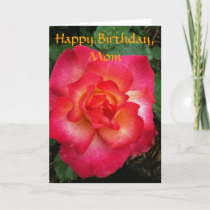 Pink/Orange Rose Card