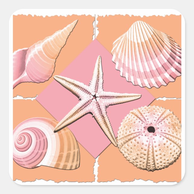 Pink & Orange Sea Shells Square Sticker (Front)
