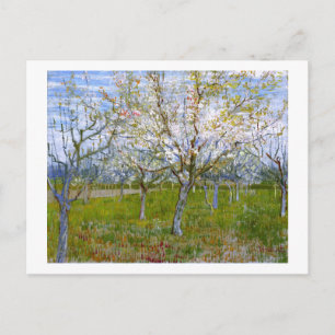 Pink Orchard (F555) Van Gogh Fine Art Postcard