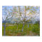 Pink Orchard (F555) Van Gogh Fine Art