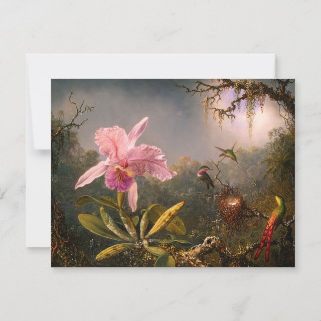 Pink Orchid and Three Hummingbirds Invitations (Front)