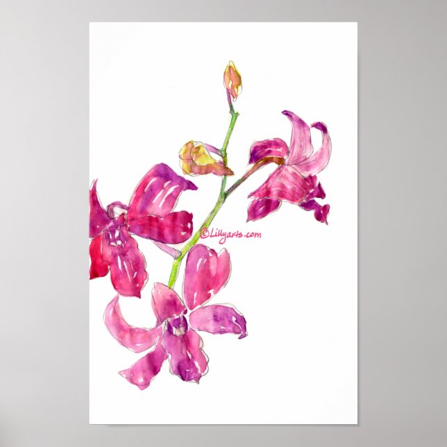 Pink Orchid Babies Floral Sketch Poster Print (Front)