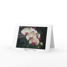 Pink Orchid Birthday Card