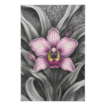 Pink Orchid Bloom
