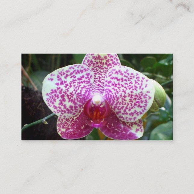 Pink Orchid Business Cards (Front)