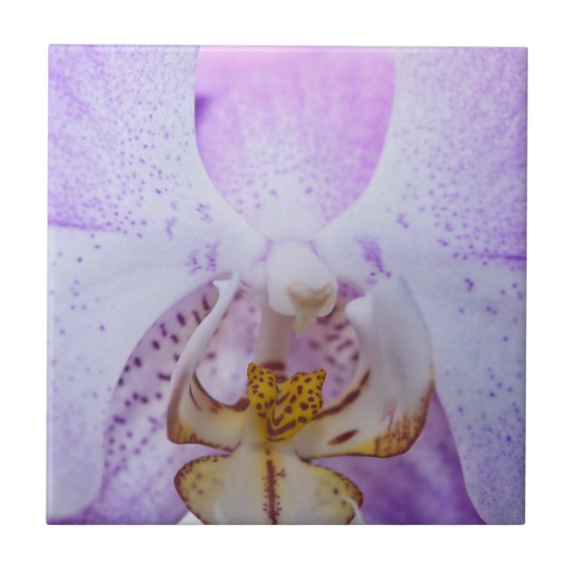 Pink Orchid Ceramic Tile (Front)