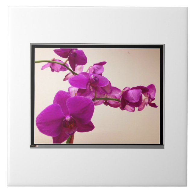 Pink orchid ceramic tile (Front)