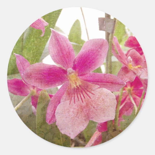 Pink Orchid Classic Round Sticker (Front)