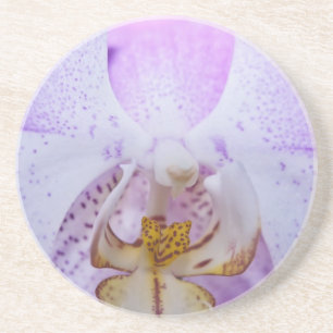 Pink Orchid Coaster