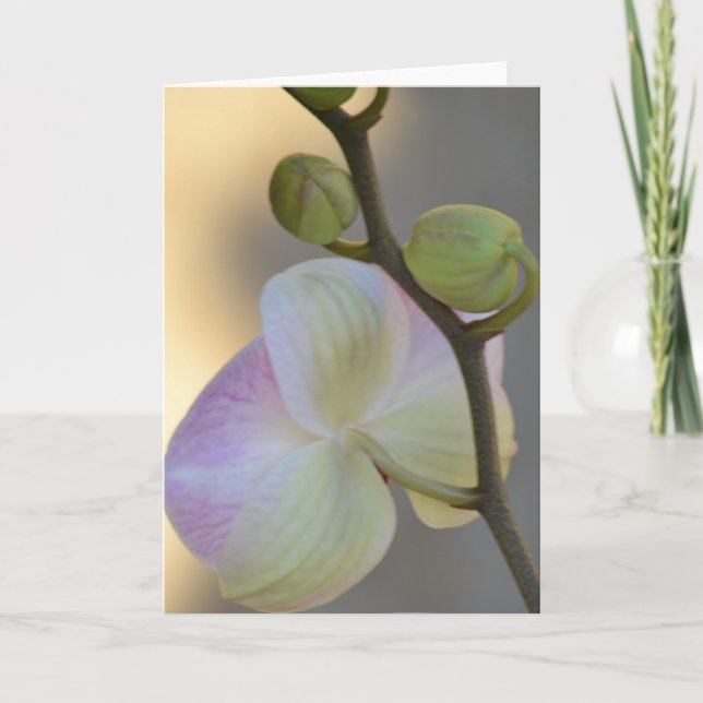 Pink Orchid Expression Card (Front)