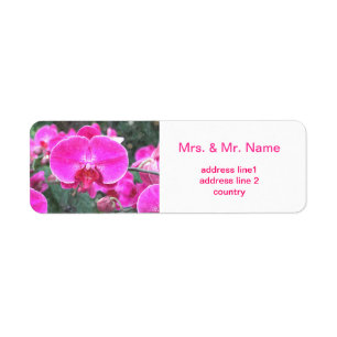Pink orchid flower, floral photography return address label