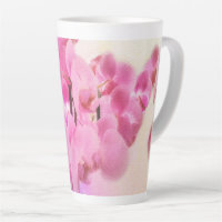 Pink Orchid flower