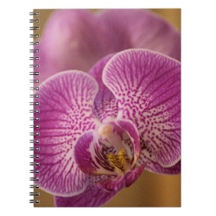 Pink Orchid Flower Notebook