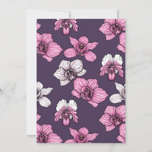 Pink orchid flowers (Front)