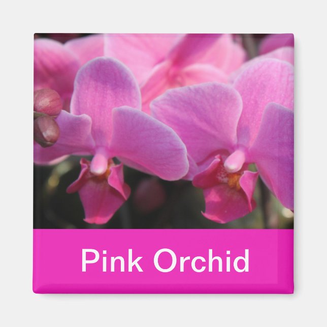 pink orchid flowers magnet (Front)