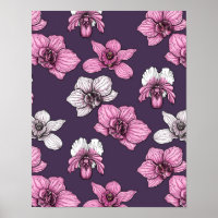 Pink orchid flowers