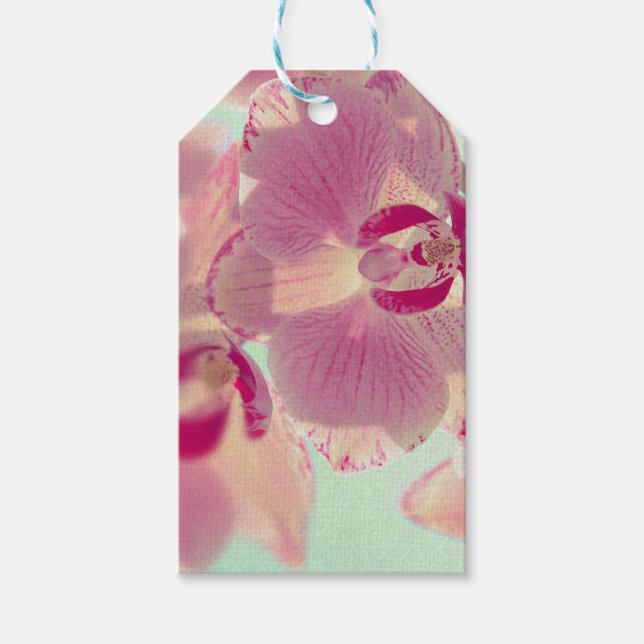 Pink Orchid Gift Tags (Front)