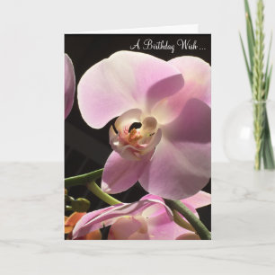 Pink Orchid Happy Birthday Card