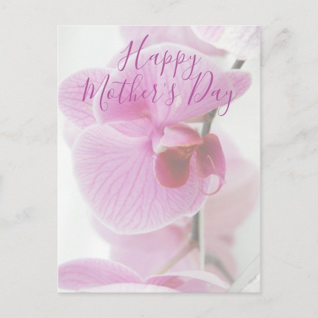 Pink Orchid | Happy Mother's Day Postcard (Front)