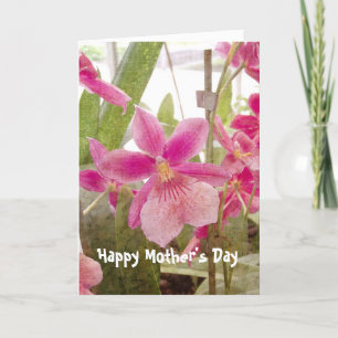 Pink Orchid Mother's Day Card