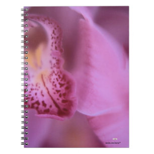 Pink Orchid Notebook