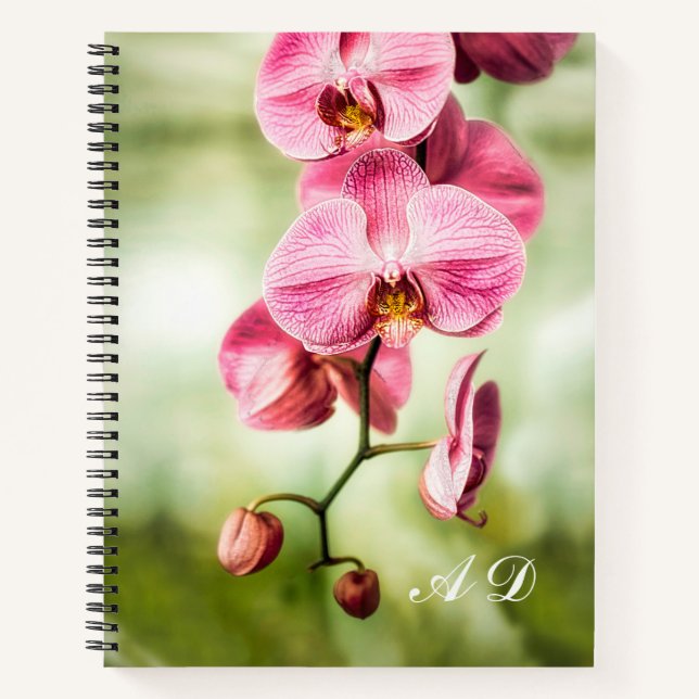 Pink Orchid Notebook (Front)