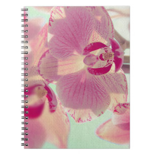 Pink Orchid Notebook