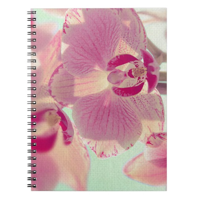 Pink Orchid Notebook (Front)