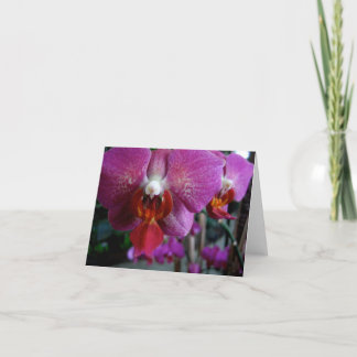 Pink Orchid Notecard