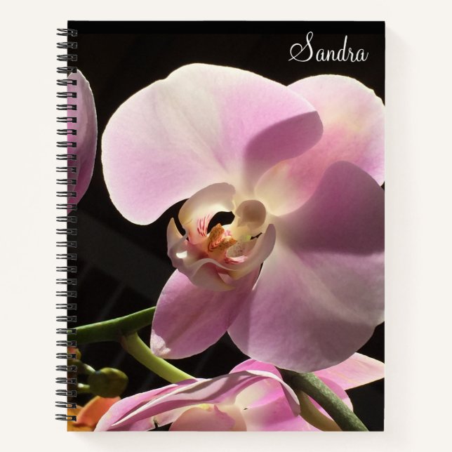 Pink Orchid Personalised Spiral Notebook (Front)