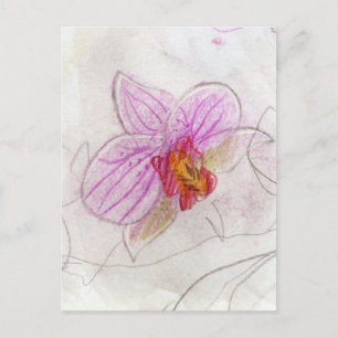 Pink Orchid Postcard