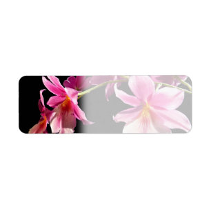 Pink Orchid. Return Address Label