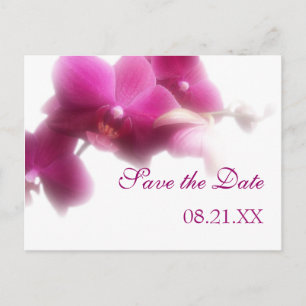 Pink Orchid Save the Date Announcement Postcard