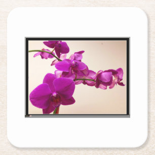 Pink orchid square paper coaster