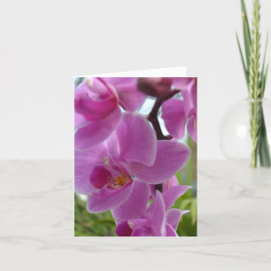 Pink Orchid Thank you Card